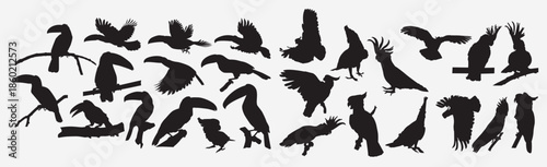  toucan cockatoos silhouette set