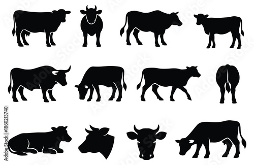 Collection of black cow silhouettes in various poses and views cattle white