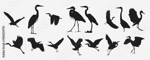 heron bird silhouette 