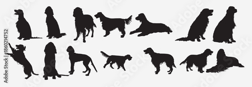 irish setter dog animal silhouette set 