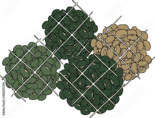 伝統的な網で収穫された日本の青大豆と枝豆、編み籠に入った新鮮な野菜、有機農産物のイラスト、ベクターアート