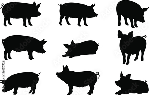 Collection of Pig Silhouettes, Nine Diverse Pig Vector Outlines, Set of Minimalist Farm Animal Graphics, illustration, vector, silhouette