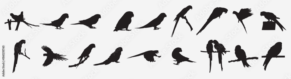 Fototapeta premium Set of parrot vector illustration