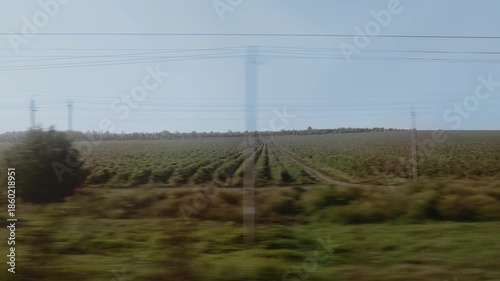 Agricultural landscape with power lines under clear sky.