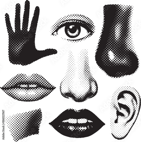 Black and white halftone of human senses hand eye nose lips ear