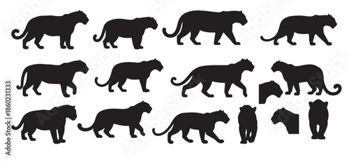 jaguar silhouette white background