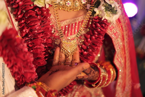 Sacred Traditional Indian Marriage Vidhi with Rituals and Cultural Ceremonies