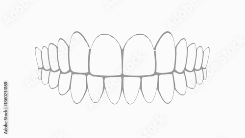 Human Teeth Dental Illustration Outline.