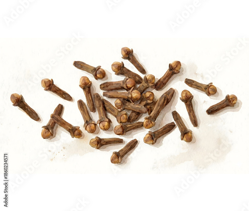 illustration watercolor painting of cloves, a spice and seasoning, isolated white background.