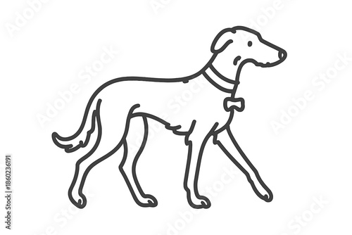 Line art of a greyhound dog wearing a collar and tag.