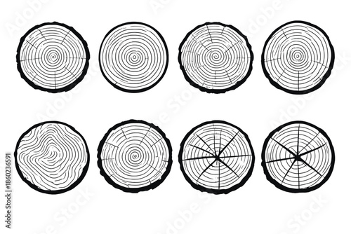 Collection of Wood Grain Patterns