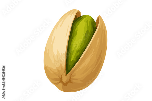 Close-up illustration of a single pistachio nut