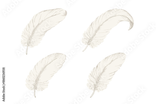 Four ethereal feathers glowing with light against a dark, streaked background