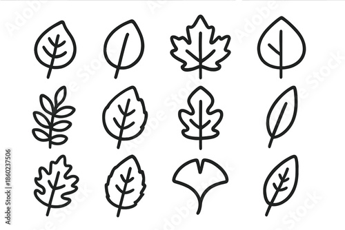 Collection of Line Art Leaf Icons on Gray Background