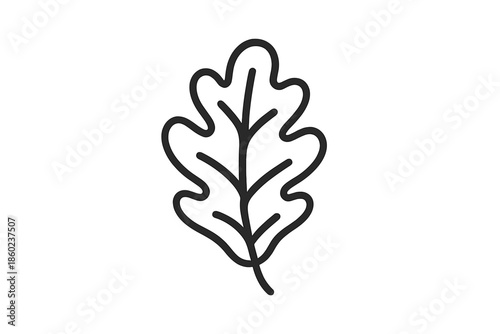 Oak leaf outline with shadow on gray gradient background