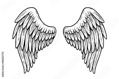 White Angel Wings on Black Background