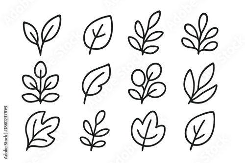 Set of 12 stylized leaf icons on a dark background
