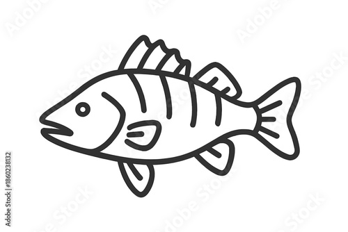 Stylized Fish Outline on Gray Background
