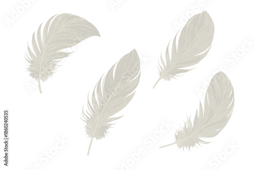 Four white feathers glowing against a textured background