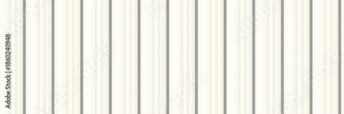 Mixed textile stripe lines, room background fabric pattern. Rrnamental vertical texture vector seamless in snow and light colors.