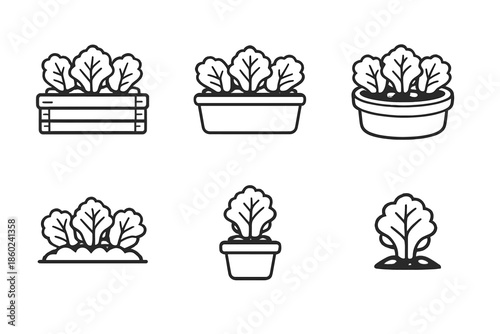 Gardening Icons of Lettuce Plants