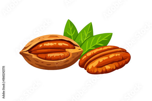 Pecans and Leaves on Green Background