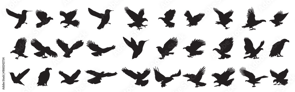 Obraz premium eagle silhouette on white background 