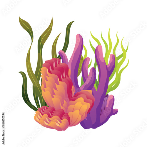 Set of watercolor seaweed and corals isolated on white background. Underwater algae. Aquarium plants collection. Vector marine life. Vector isolated corals and algae. Underwater flora