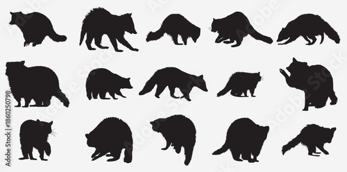 raccoon animal silhouette set