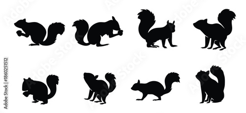 Flat squirrel silhouettes collection