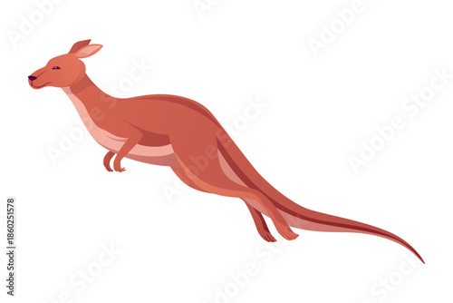 Kangaroo character posing. Adult kangaroo with pouch jumping. Vector flat cartoon animal of australian fauna and wildlife, isolated on white background