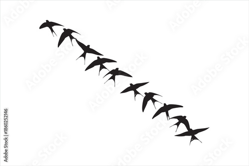 Black silhouettes of flying birds in a diagonal formation against a white background