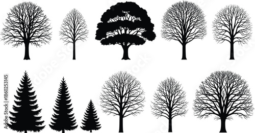 Tree silhouette collection set, deciduous and coniferous forest, black nature isolated vector illustration, winter bare oak and pine design, cad drawing flat vector illustration.