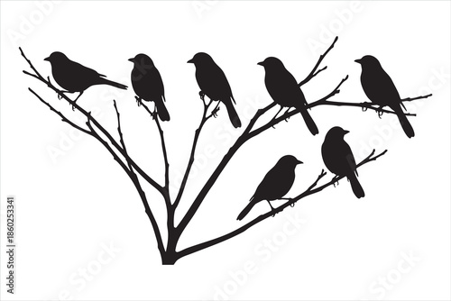 Six black birds sitting on branches of a tree in silhouette style 1