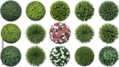 Garden topiary bushes and ornamental shrubs collection with round green plants realistic vector illustration for landscaping design
