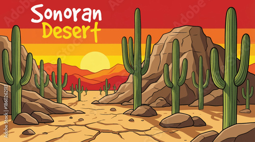 Sonoran Desert showcases iconic saguaro cacti, rocky hills, sandy ground, and warm desert light, representing biodiverse desert ecosystems across the southwestern United States