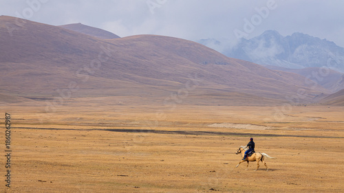 Wild horse running across the highland steppe near Son-Kul Lake, Kyrgyzstan. Symbol of freedom and nomadic spirit in Central Asia