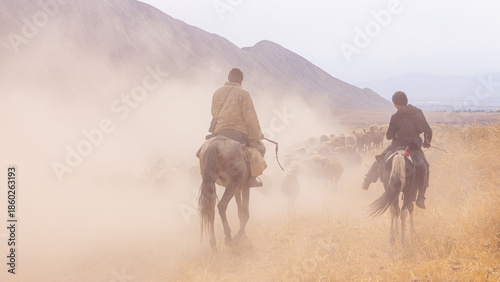 Herd of sheep walking across the highland steppe near Son-Kul Lake, Kyrgyzstan. Symbol of freedom and nomadic spirit in Central Asia