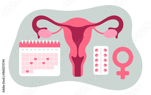 Understanding female reproductive health: cycle tracking, contraception, and fertility management