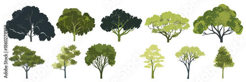 Set of diverse green tree silhouettes with full foliage isolated on white background minimalist flat vector illustration for nature and landscape design concepts