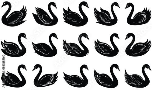 Multiple vector images of a swan