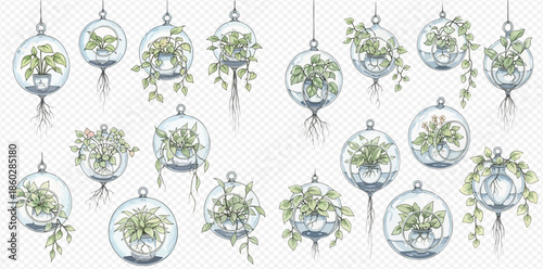 Set of various hanging glass terrariums with green plants and visible roots.