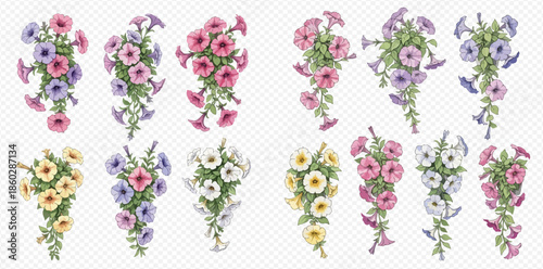 Set of beautiful petunia flowers in various colors, perfect for garden and floral designs.