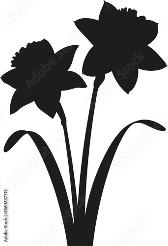 Two black silhouette daffodils with green leaves on white background flower vector