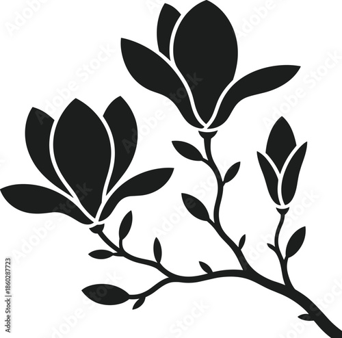 Blooming magnolia branch silhouette vector with buds and leaves