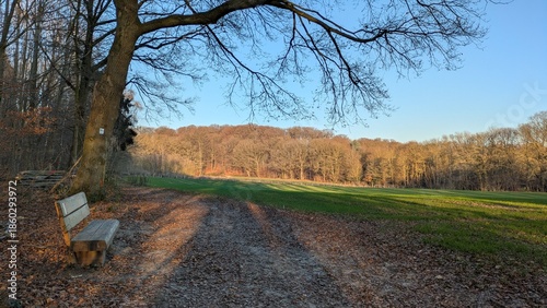 Viersen, Spaziergang in ländlicher Gegend, Herbst, Jahreszeiten in Deutschland, kahle Bäume