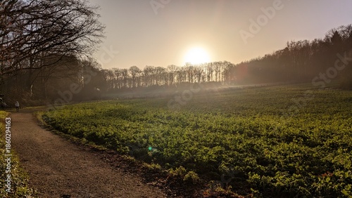 Aussicht über ein Feld im Sonnenaufgang der Sonne im Gegenlicht - Jahreszeit Herbst