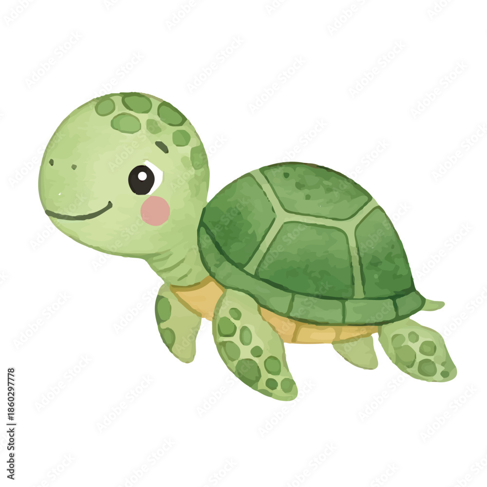 Obraz premium Cute turtle on white and green backgrounds with shell in nature and grass