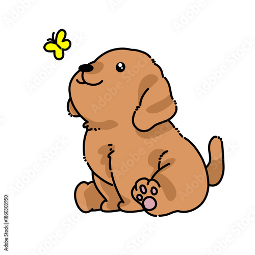 Cute puppy sitting and looking up to butterfly 