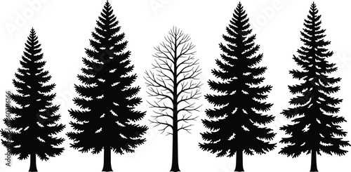 Conifer tree silhouette vector illustration set featuring pine and spruce forest shapes, black and white minimalist woodland design for nature graphics